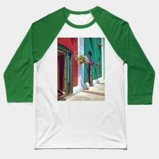 Roanoke VA - Doors and Hanging Baskets Baseball T-Shirt